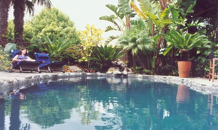 Natural Setting Pool