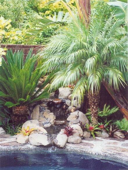 Natural Setting Pool